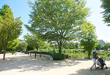 樋ノ池公園
