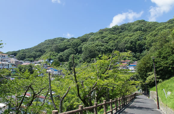 西山公園