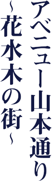 アベニュー山本通り～花水木の街～