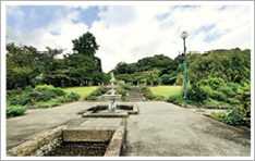 �k�R���� �i���n���320���j