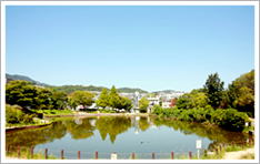 ��V�r���� �i���n���2,300���j