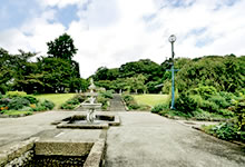 北山緑化植物園 写真