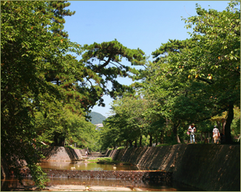 �g�삳���瓹