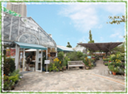 ��˃K�[�f���t�B�[���Y