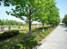 セントウルガーデン