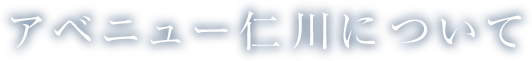 アベニュー仁川について