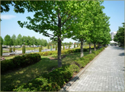 ��_���n�����