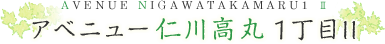 AVENUE NIGAWATAKAMARU1 アベニュー 仁川高丸1丁目II