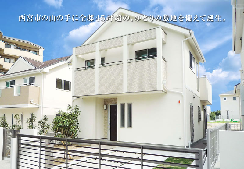 ���{�s�̎R�̎�ɑS�@45�؉z�́A��Ƃ�̕~�n������Ēa���B