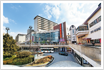 ��}�u�t����v�w�O