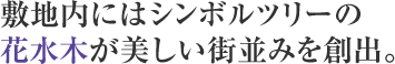 敷地内にはシンボルツリーの花水木が美しい街並みを創出。