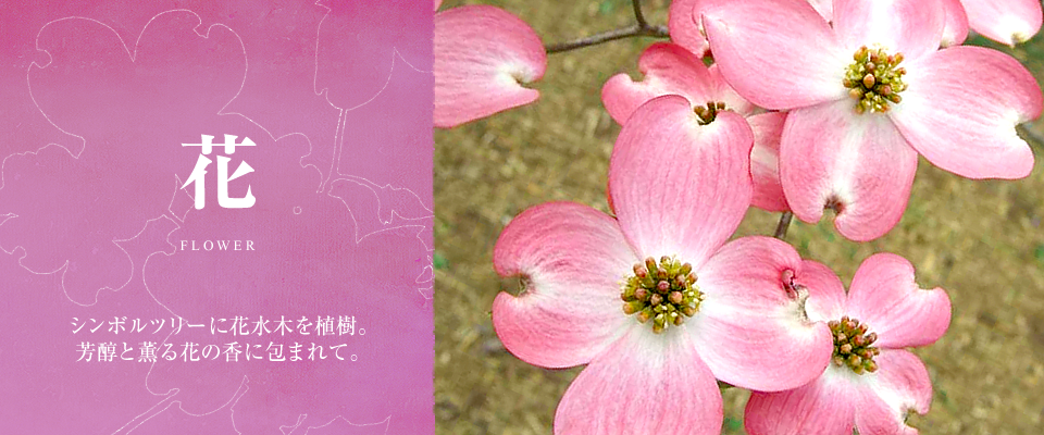 花 FLOWER シンボルツリーに花水木を植樹。芳醇と薫る花の香に包まれて。
