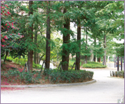 ���c����