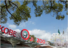 王子公園・王子動物園