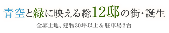 青空と緑に映える総12邸の街・誕生