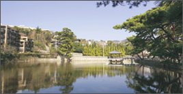 �[�c�r���� (���n���k��3��)